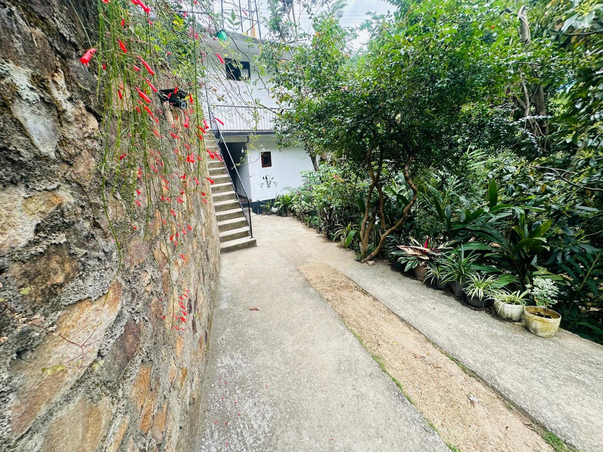 River Splendour Home Stay Ella Εξωτερικό φωτογραφία