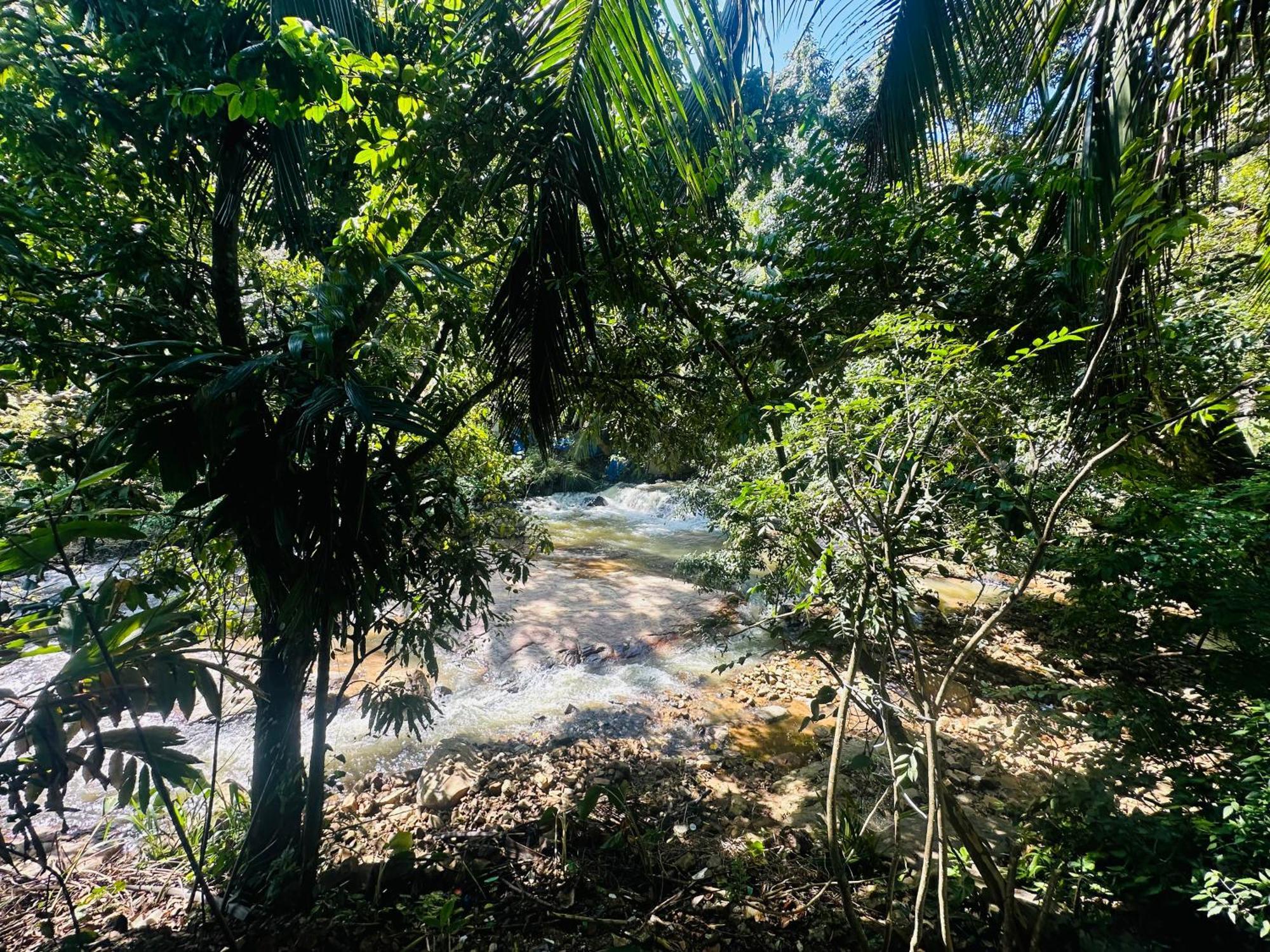 River Splendour Home Stay Ella Εξωτερικό φωτογραφία
