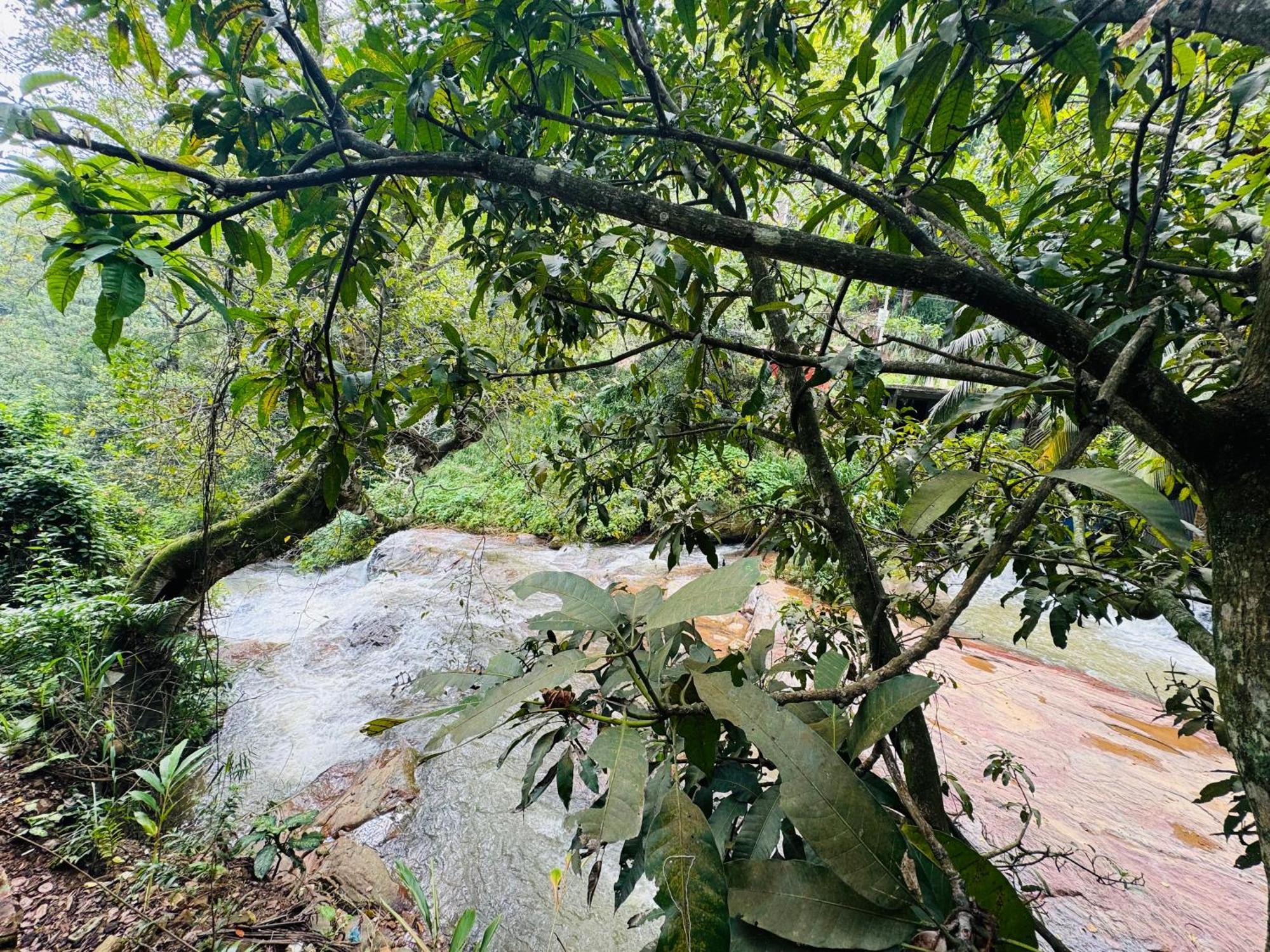 River Splendour Home Stay Ella Εξωτερικό φωτογραφία